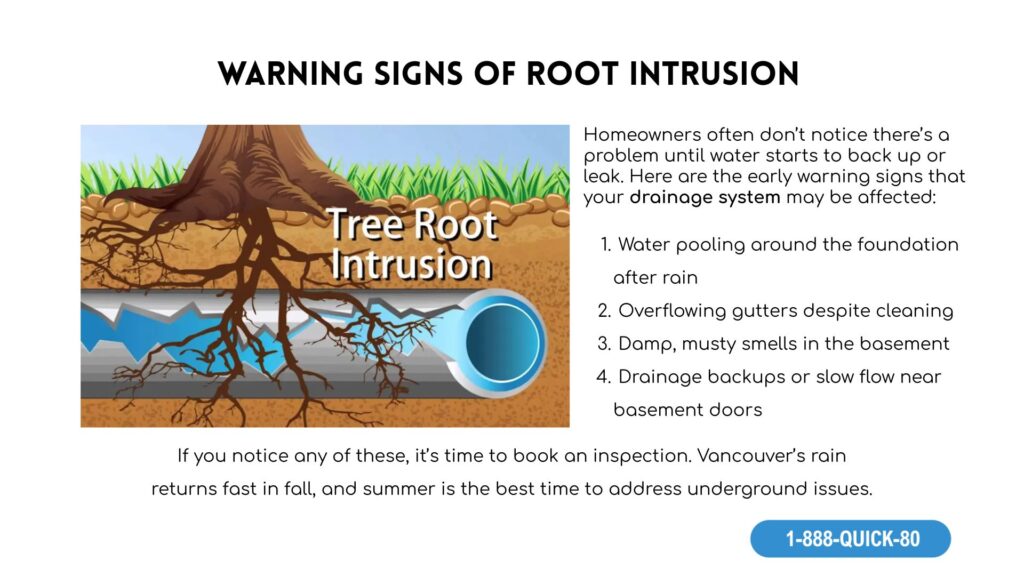 root intrusion