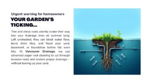 tree-roots-infiltrating-an-underground-pipe