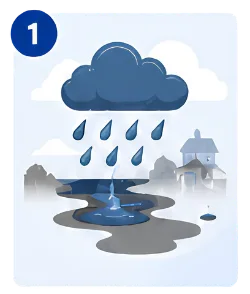 Standing Water After Rain