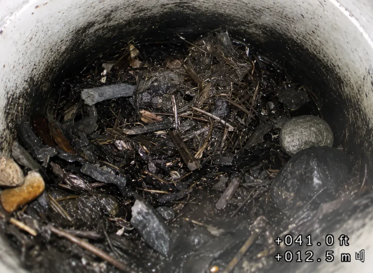 clogged drain