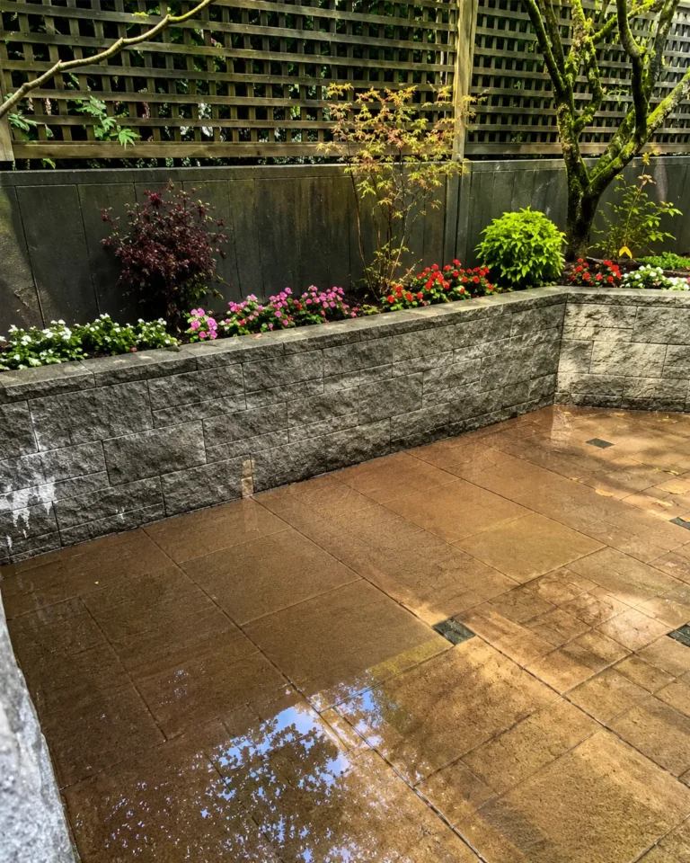 standing water